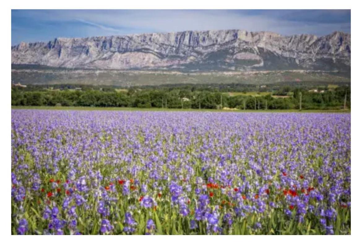 Aix-en-provence, Cosy Proche Toutes Commodites, Linges Fournis Appartement Aix-en-Provence